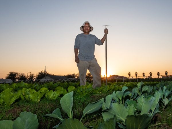 hmong-farmer-836x637